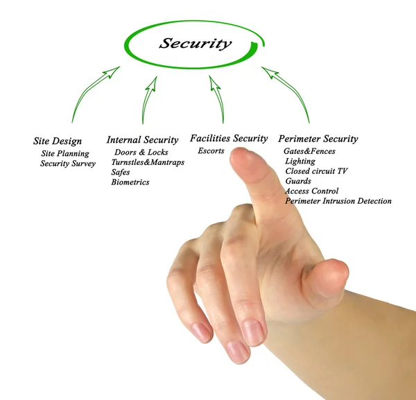 Presentation of Diagram of Security — Stock Photo, Image